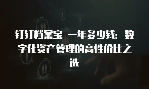 钉钉档案宝 一年多少钱：数字化资产管理的高性价比之选