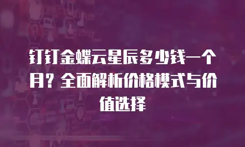 钉钉金蝶云星辰多少钱一个月？全面解析价格模式与价值选择