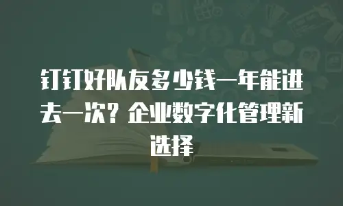 钉钉好队友多少钱一年能进去一次？企业数字化管理新选择