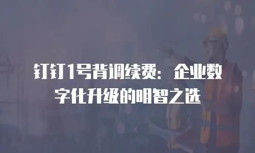 钉钉1号背调续费：企业数字化升级的明智之选