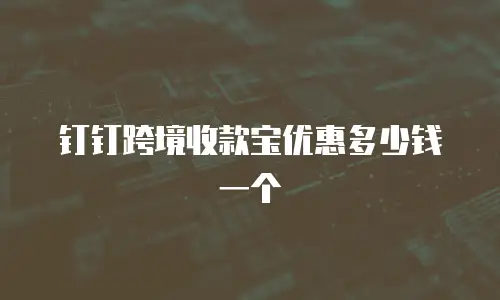 钉钉跨境收款宝优惠多少钱一个
