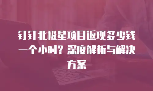 钉钉北极星项目返现多少钱一个小时？深度解析与解决方案