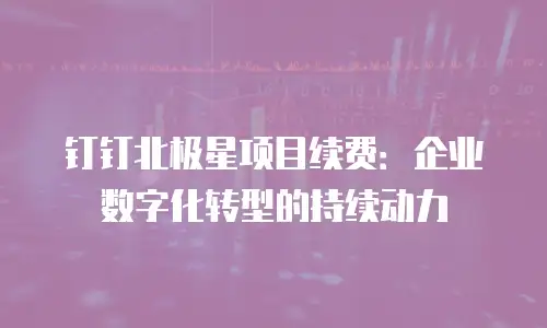 钉钉北极星项目续费：企业数字化转型的持续动力