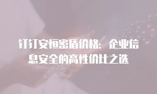 钉钉安恒密盾价格：企业信息安全的高性价比之选