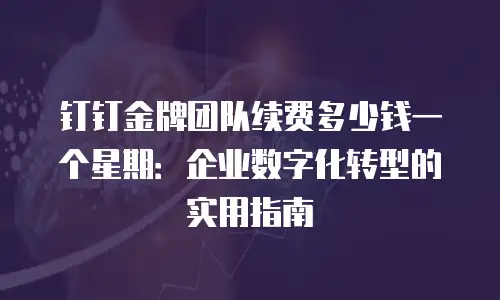 钉钉金牌团队续费多少钱一个星期：企业数字化转型的实用指南