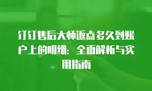 钉钉售后大师返点多久到账户上的明细：全面解析与实用指南