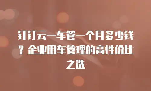 钉钉云一车管一个月多少钱？企业用车管理的高性价比之选