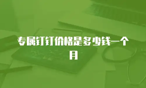 专属钉钉价格是多少钱一个月