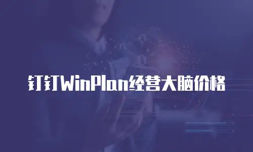 钉钉WinPlan经营大脑价格