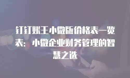 钉钉账王小微版价格表一览表：小微企业财务管理的智慧之选