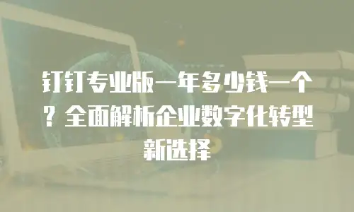 钉钉专业版一年多少钱一个？全面解析企业数字化转型新选择