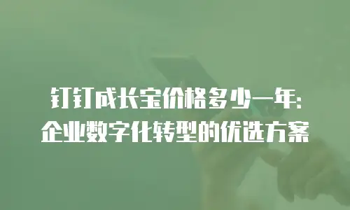 钉钉成长宝价格多少一年：企业数字化转型的优选方案