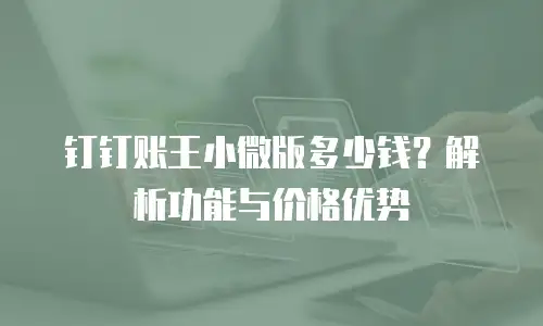 钉钉账王小微版多少钱？解析功能与价格优势