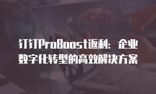 钉钉ProBoost返利：企业数字化转型的高效解决方案