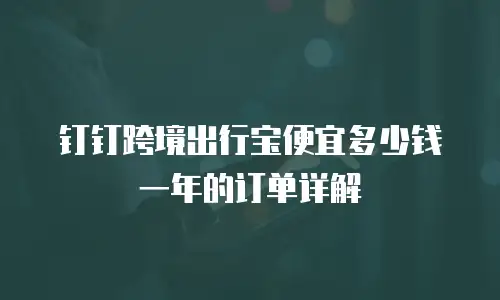 钉钉跨境出行宝便宜多少钱一年的订单详解