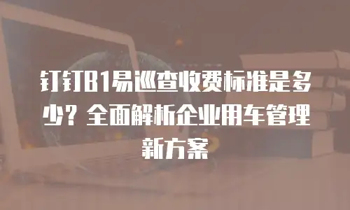 钉钉B1易巡查收费标准是多少？全面解析企业用车管理新方案