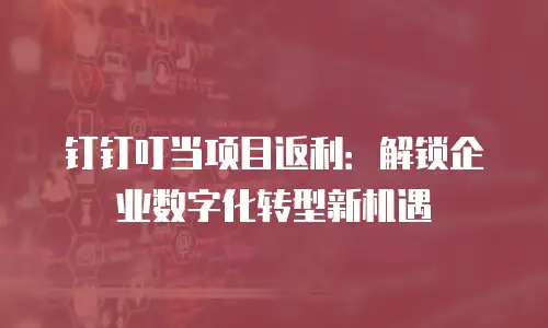 钉钉叮当项目返利：解锁企业数字化转型新机遇