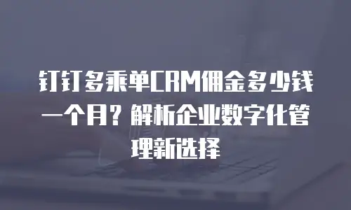 钉钉多乘单CRM佣金多少钱一个月？解析企业数字化管理新选择