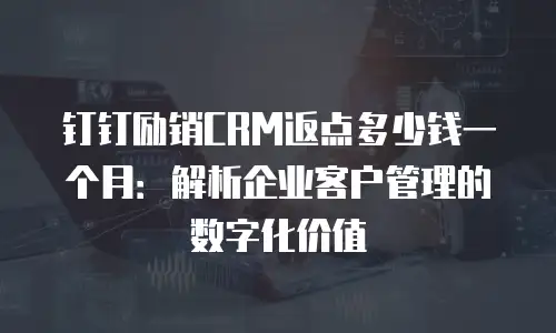 钉钉励销CRM返点多少钱一个月：解析企业客户管理的数字化价值