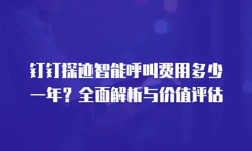 钉钉探迹智能呼叫费用多少一年？全面解析与价值评估
