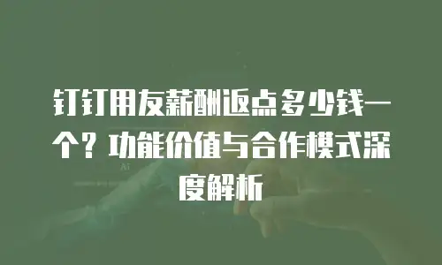 钉钉用友薪酬返点多少钱一个？功能价值与合作模式深度解析