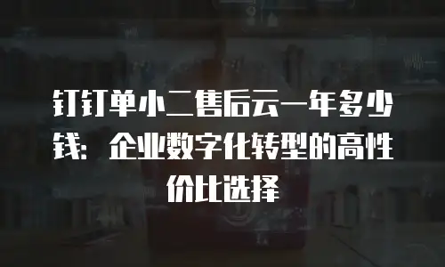 钉钉单小二售后云一年多少钱：企业数字化转型的高性价比选择