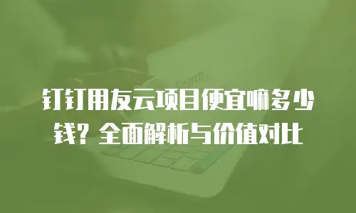 钉钉用友云项目便宜嘛多少钱？全面解析与价值对比