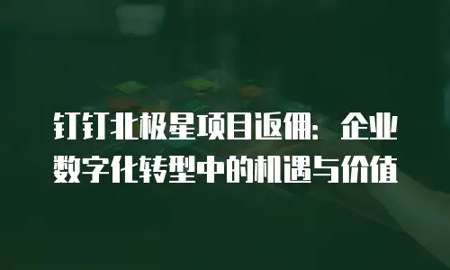 钉钉北极星项目返佣：企业数字化转型中的机遇与价值