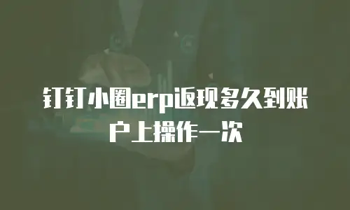 钉钉小圈erp返现多久到账户上操作一次