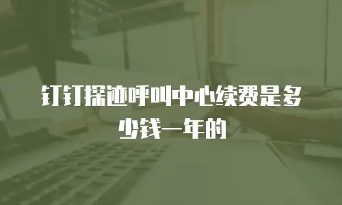 钉钉探迹呼叫中心续费是多少钱一年的