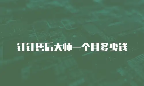 钉钉售后大师一个月多少钱