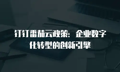 钉钉番茄云政策：企业数字化转型的创新引擎
