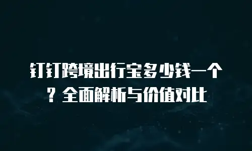 钉钉跨境出行宝多少钱一个？全面解析与价值对比