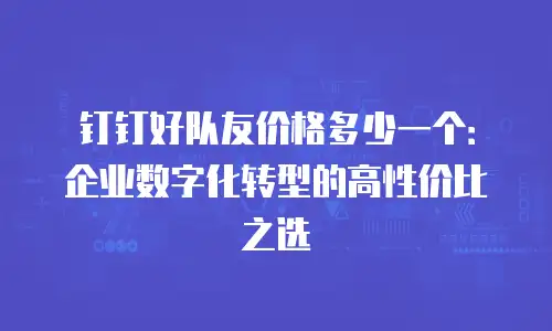 钉钉好队友价格多少一个：企业数字化转型的高性价比之选