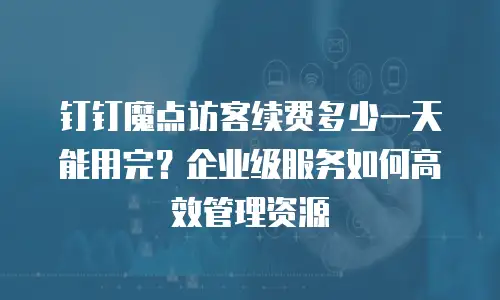 钉钉魔点访客续费多少一天能用完？企业级服务如何高效管理资源
