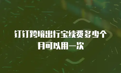 钉钉跨境出行宝续费多少个月可以用一次