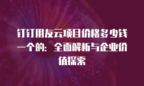 钉钉用友云项目价格多少钱一个的：全面解析与企业价值探索