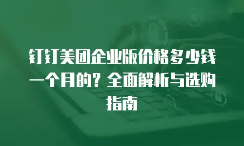 钉钉美团企业版价格多少钱一个月的？全面解析与选购指南