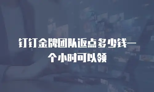 钉钉金牌团队返点多少钱一个小时可以领
