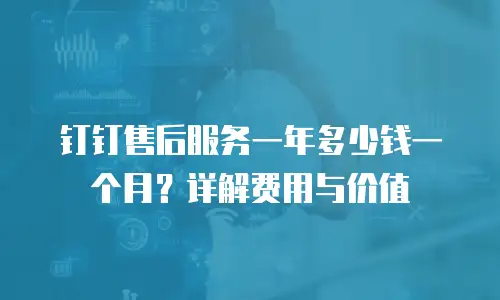 钉钉售后服务一年多少钱一个月？详解费用与价值