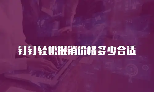 钉钉轻松报销价格多少合适
