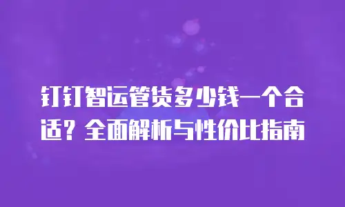钉钉智运管货多少钱一个合适？全面解析与性价比指南