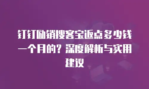 钉钉励销搜客宝返点多少钱一个月的？深度解析与实用建议