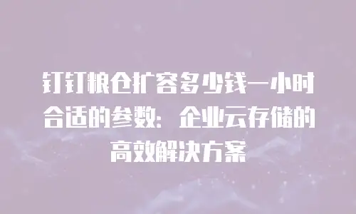 钉钉粮仓扩容多少钱一小时合适的参数：企业云存储的高效解决方案