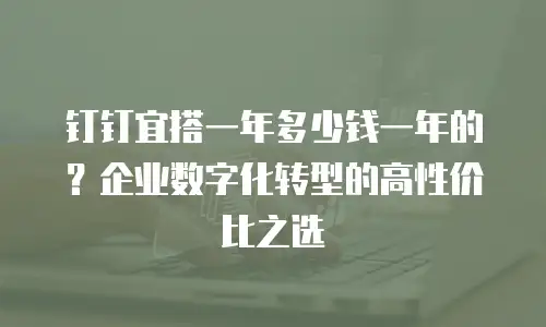 钉钉宜搭一年多少钱一年的？企业数字化转型的高性价比之选
