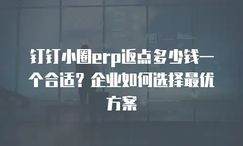 钉钉小圈erp返点多少钱一个合适？企业如何选择最优方案