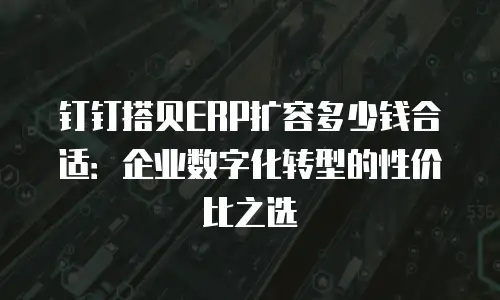 钉钉搭贝ERP扩容多少钱合适：企业数字化转型的性价比之选