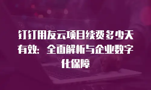 钉钉用友云项目续费多少天有效：全面解析与企业数字化保障