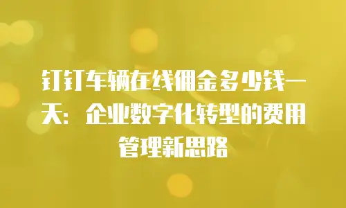 钉钉车辆在线佣金多少钱一天：企业数字化转型的费用管理新思路