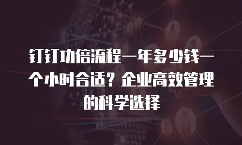 钉钉功倍流程一年多少钱一个小时合适？企业高效管理的科学选择
